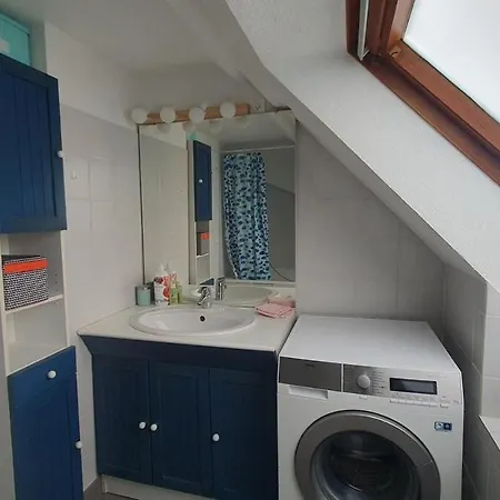 Mon Ptit Nid T3 Duplex Au Coeur De La Krutenau 斯特拉斯堡