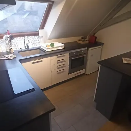 公寓 Mon Ptit Nid T3 Duplex Au Coeur De La Krutenau *