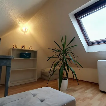 Mon Ptit Nid T3 Duplex Au Coeur De La Krutenau 公寓
