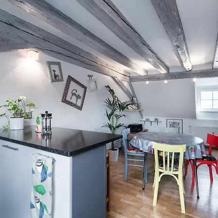 Mon Ptit Nid T3 Duplex Au Coeur De La Krutenau 公寓