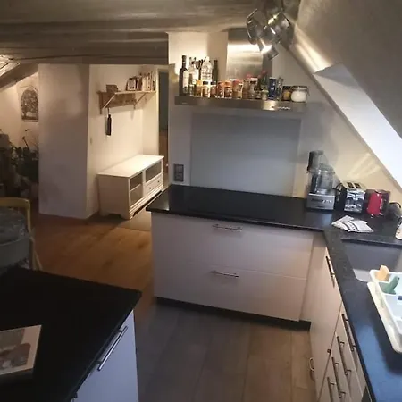 Mon Ptit Nid T3 Duplex Au Coeur De La Krutenau 斯特拉斯堡