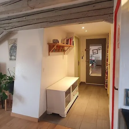 Mon Ptit Nid T3 Duplex Au Coeur De La Krutenau 公寓