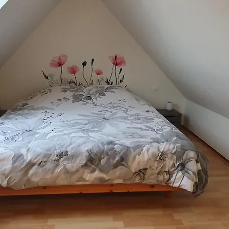 公寓 Mon Ptit Nid T3 Duplex Au Coeur De La Krutenau *